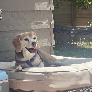 Fundraising Page: Anthony Santos